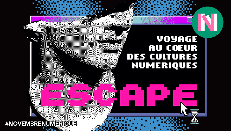 Capture d'écran du site de l'Institut français du Maroc.