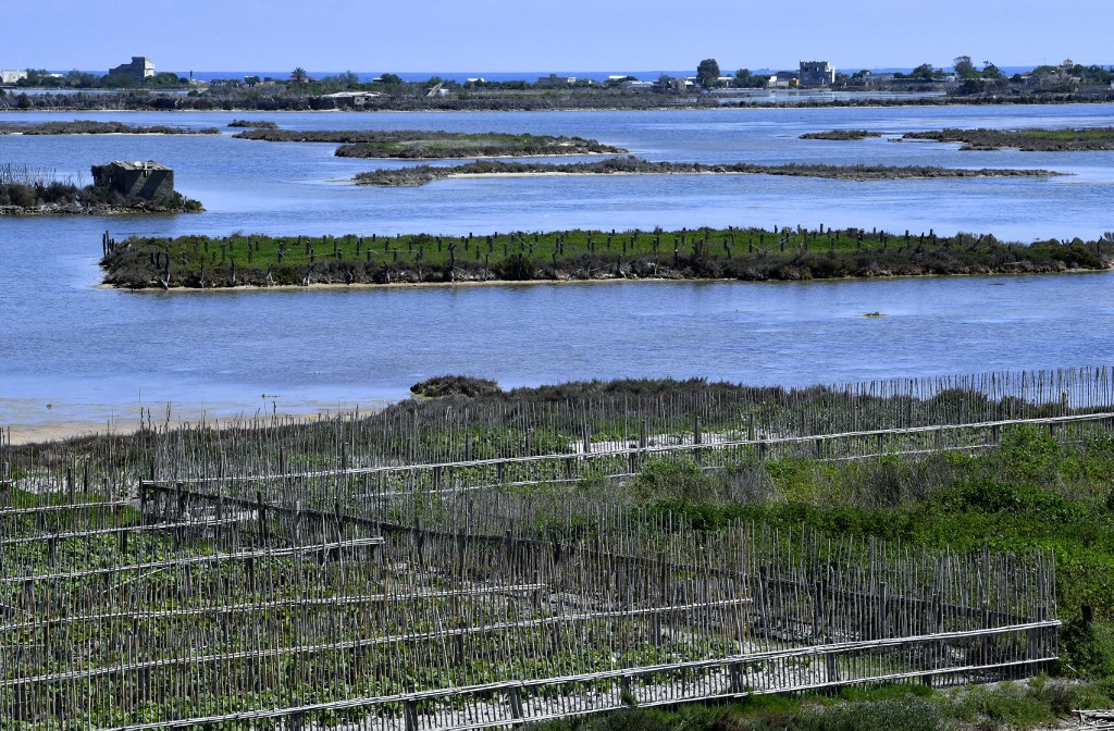 une vue de terres agricoles plantées près de la mer dans le petit village de pêcheurs de Ghar El Melh dans le nord de la Tunisie, le 31 mars 2021. FETHI BELAID / AFP