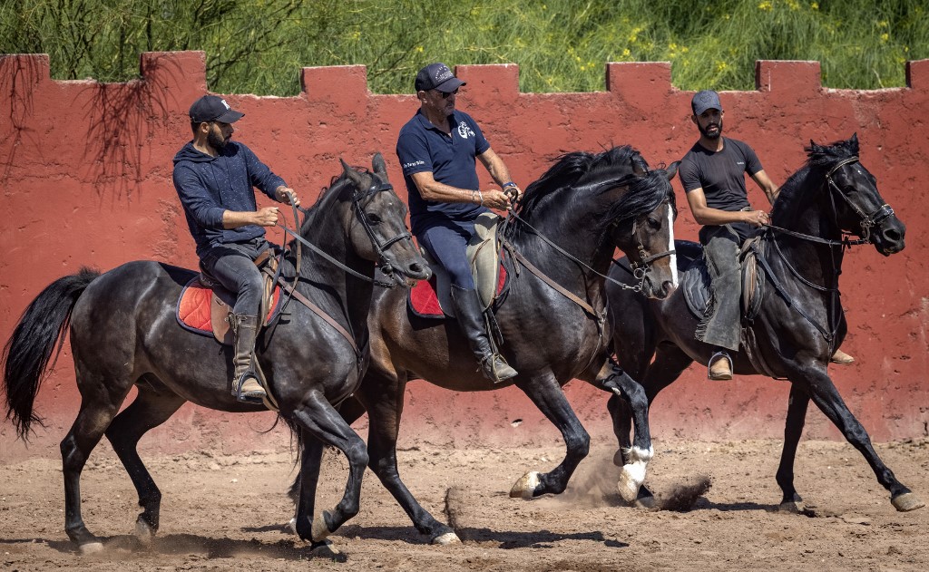 chevaux