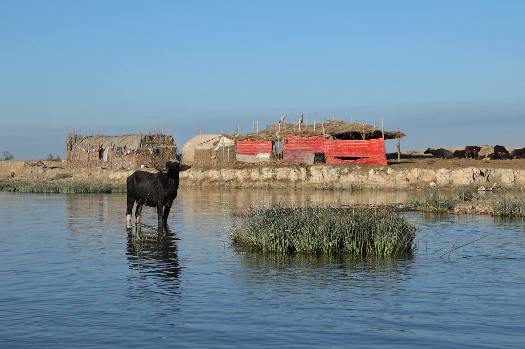 Une vue générale montre le marais de Chibayesh dans le sud de l'Irak, dans la région d'Ahwar, dans la province de Dhi Qar, le 10 novembre 2021