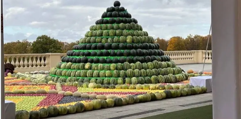 Poutine a reçu vendredi des cadeaux bizarres pour son 70e anniversaire, comme par exemple une pyramide de pastèques rouges et jaunes, qui lui a été offerte par le président du Tadjikistan, Emomali Rahmon (Photo, Al Arbiya).