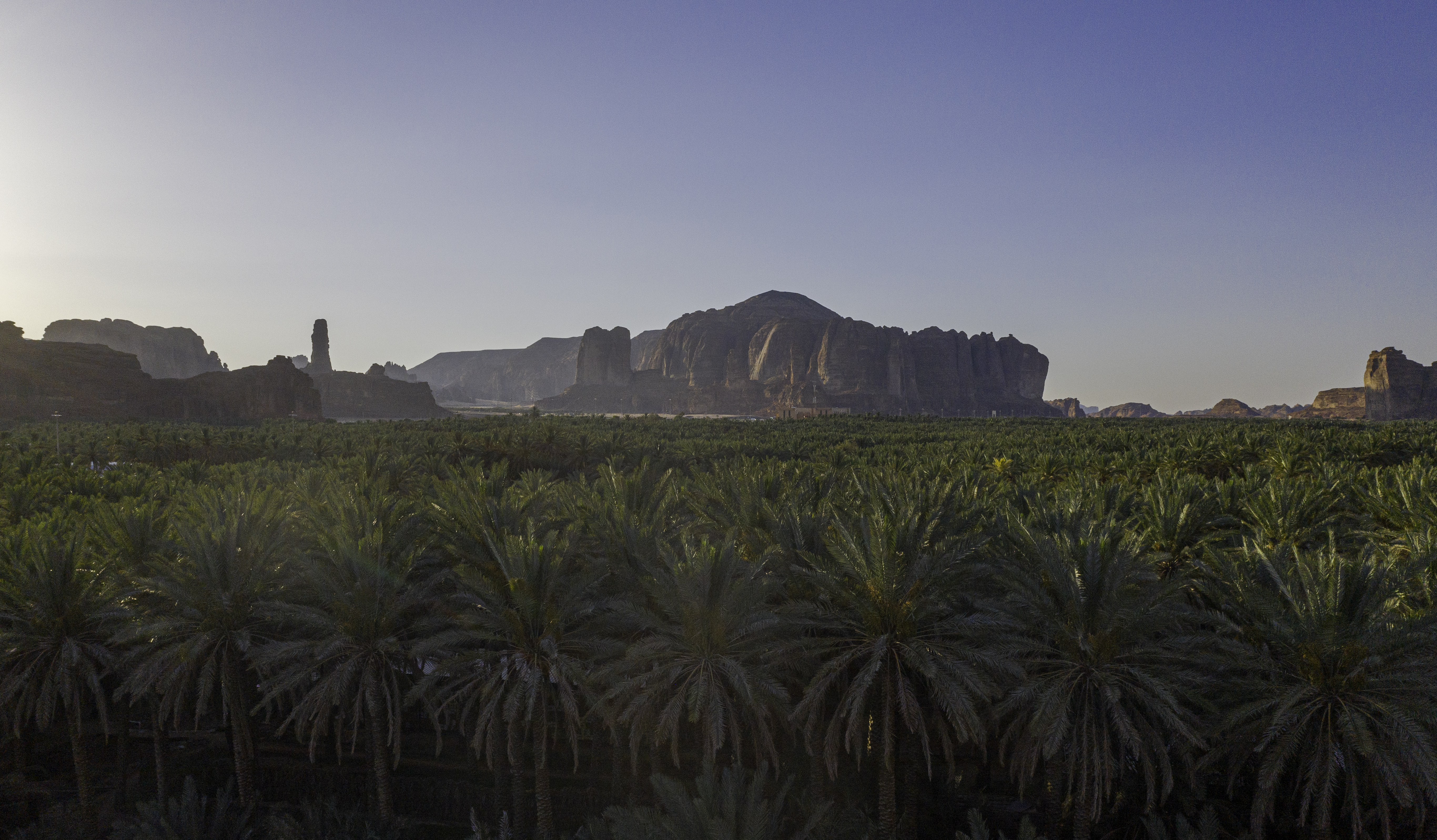 Paysage d'oasis d'AlUla (Photo RCU)