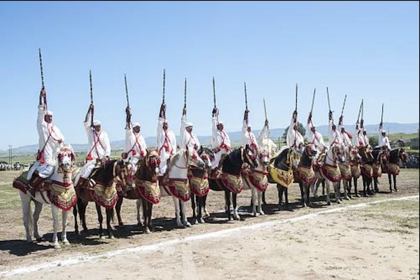 Scène de Tbourida (© Société Royale d'Encouragement du Cheval (SOREC), Maroc, 2015)