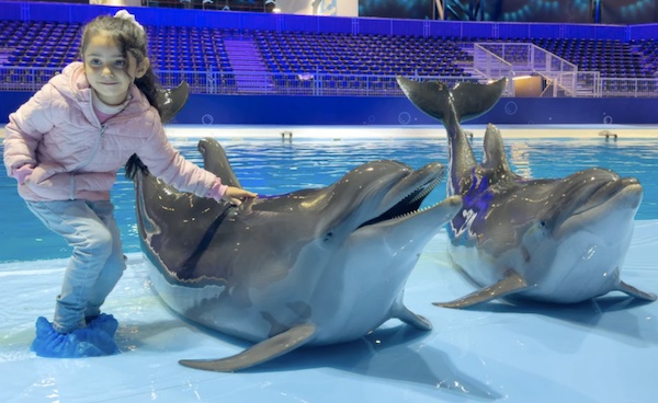 Faites de cette journée un moment inoubliable en prenant des photos avec les dauphins! (Photo AN/ Huda Bashatah)