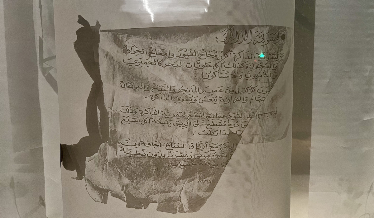 « It Will Heal » (2025) de Fatma Abdulhadi. (Photo AN)