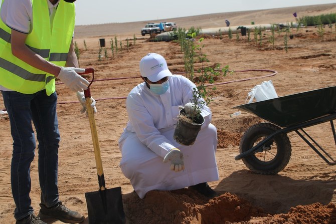 L'initiative verte de l'Arabie saoudite pour le Moyen-Orient prévoit de planter 50 milliards d'arbres dans la région. (Photo fournie)