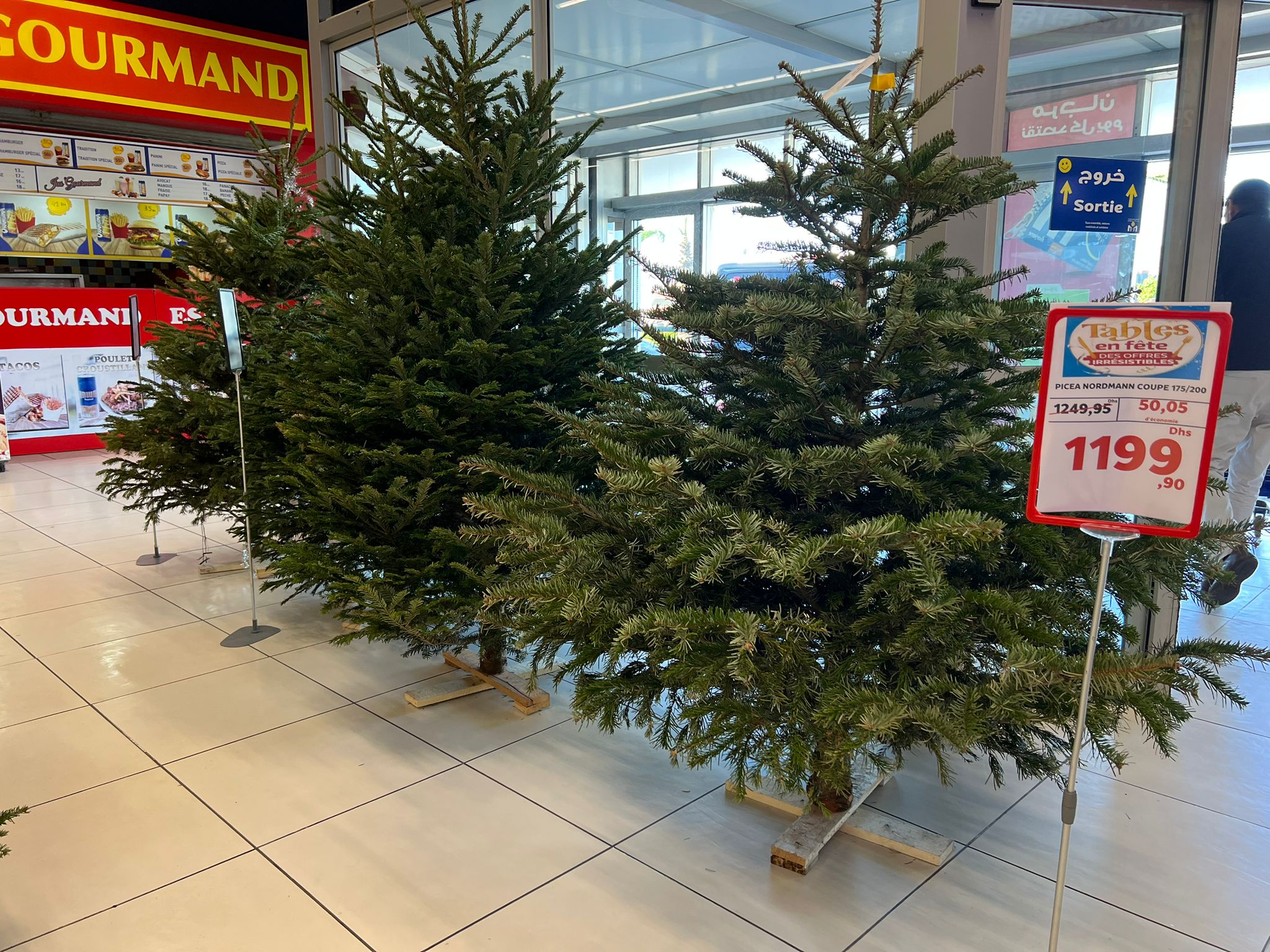 Les retardataires se ruent sur les marchés aux fleurs ou dans les grandes surfaces qui proposent des sapins à la vente; l’arbre le plus prisé est le sapin de Noël Nordmann. À la veille de Noël, il se vend 1 200 dirhams (1 dirham marocain = 0,090 euro) ( Photo, fournie)