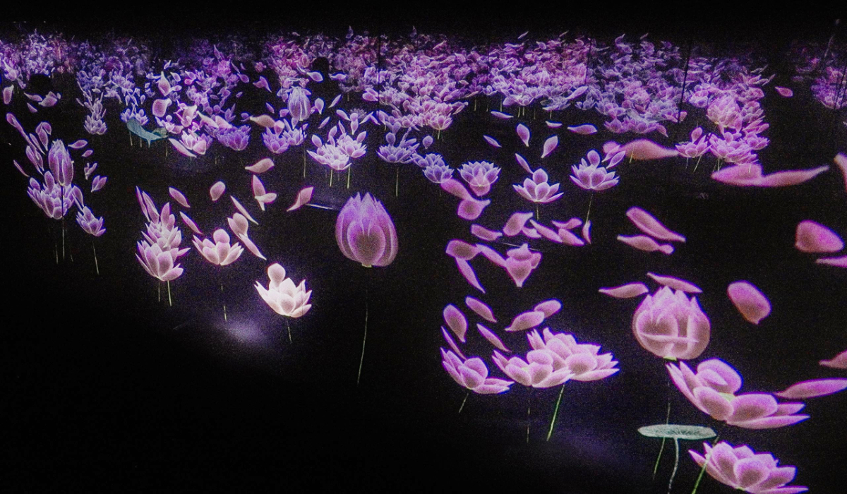TeamLab Borderless Jeddah fête le premier anniversaire de son ouverture en juin 2024. (Fourni)