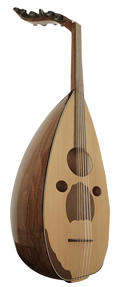 Un oud traditionnel (fournie)