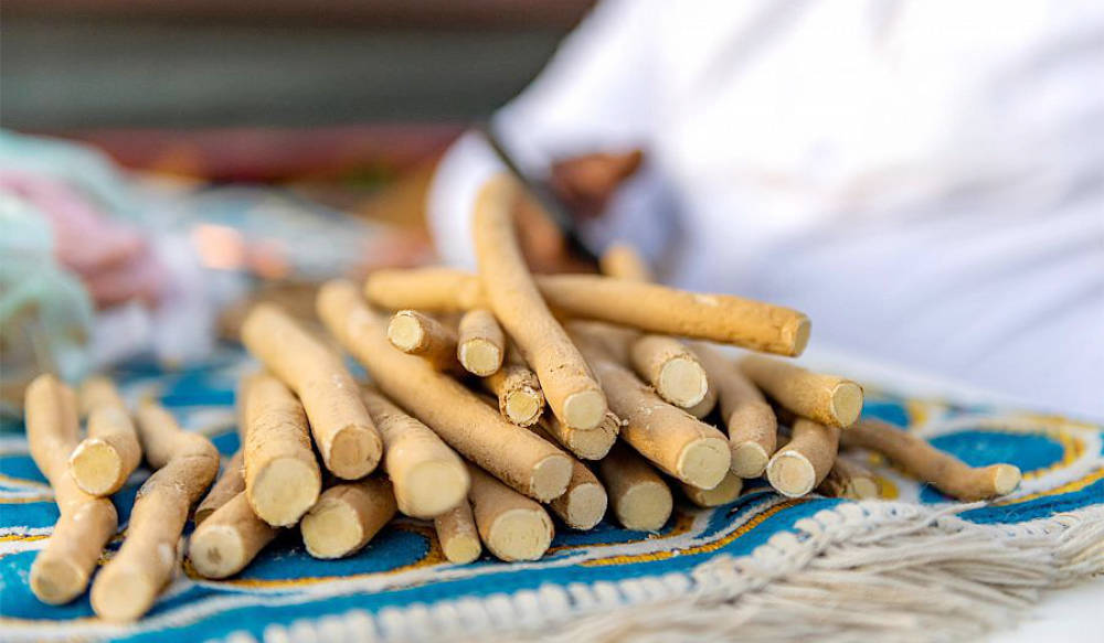 Selon la tradition islamique, il est considéré sunna d’utiliser un miswak (Photo fournie)