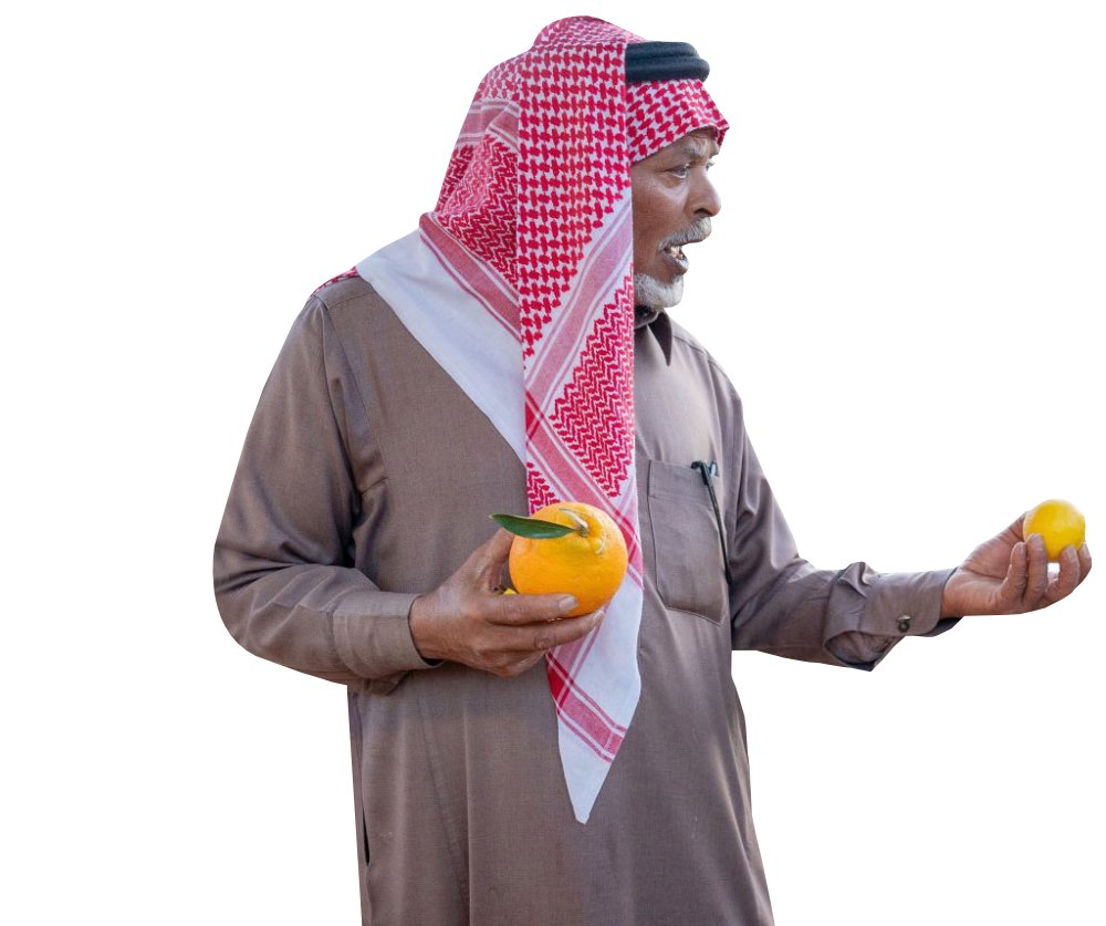 Vingt-neuf types d’agrumes sont présentés lors du festival, parmi les diverses variétés d’agrumes qui poussent dans le sol fertile des oasis. Les oranges sont les plus courantes, représentant 70 à 80% des agrumes produits à AlUla. (Twitter@RCU_SA)