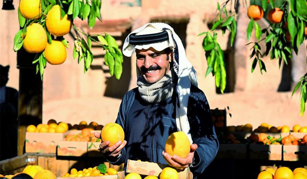 Le Festival des agrumes d’AlUla présente les variétés locales. (agence de presse saoudienne)