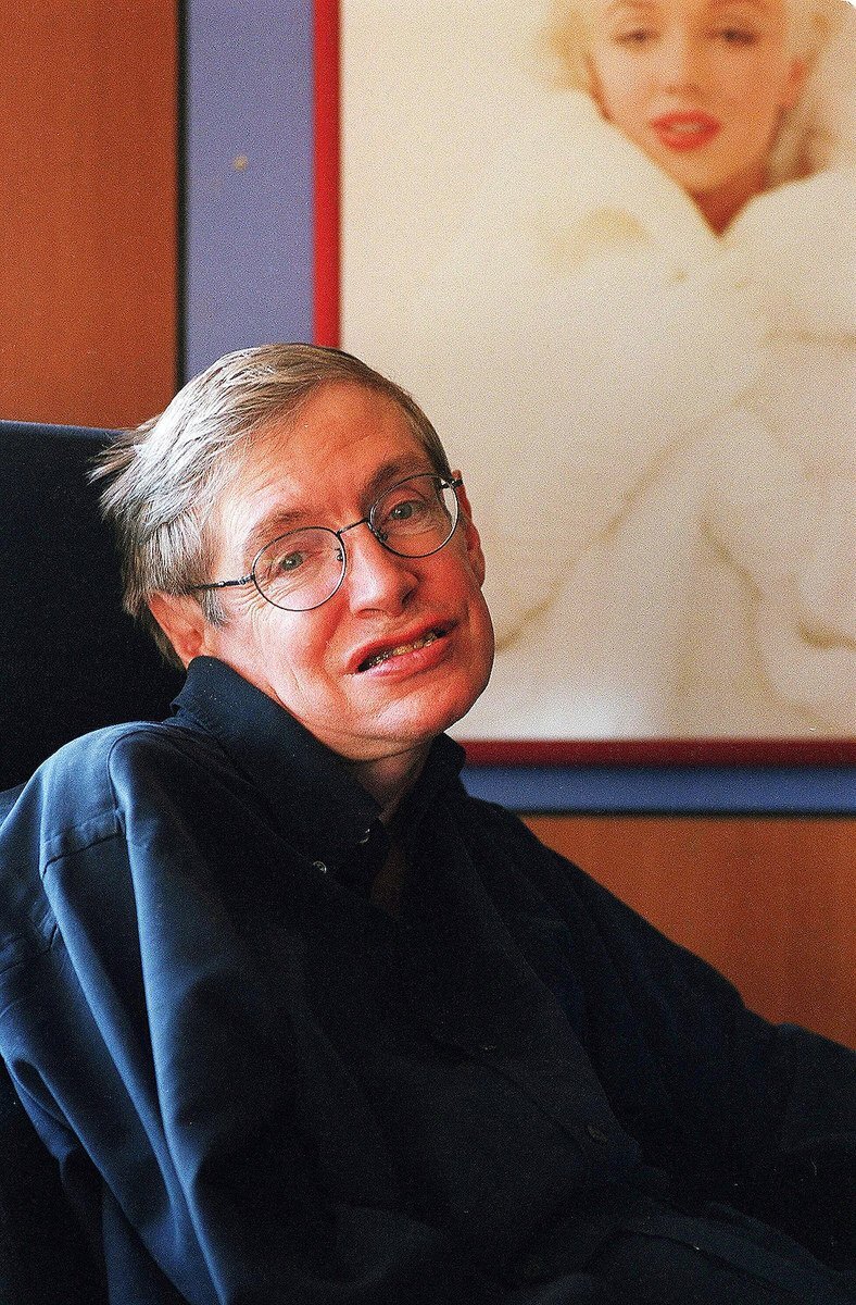 Stephen Hawking (2001)