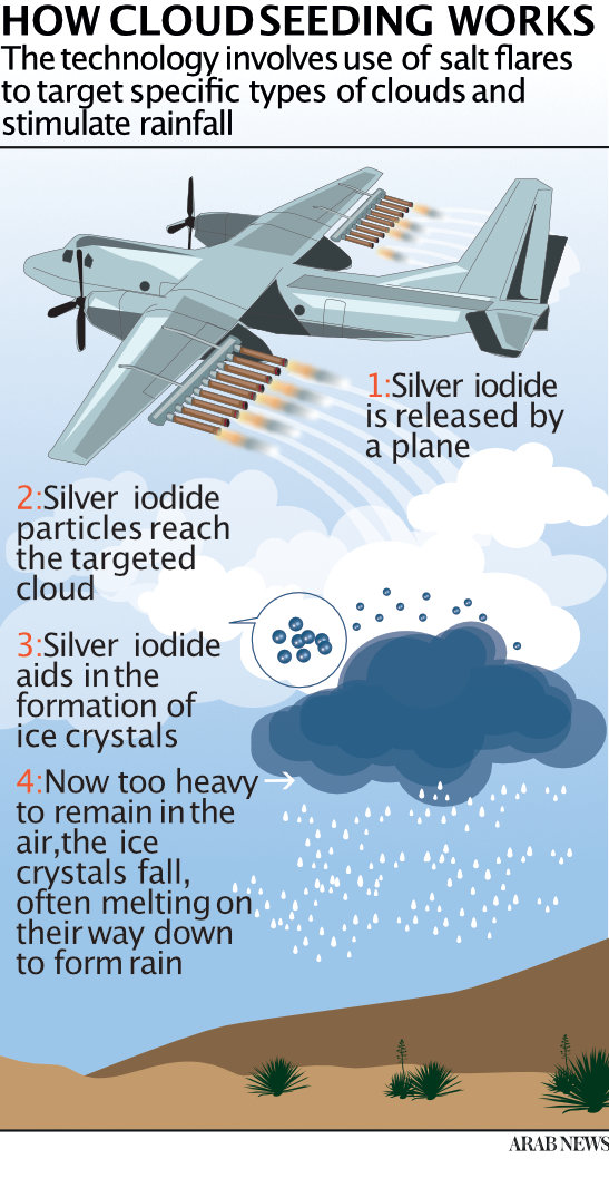 Infographie illustrant le procédé de l'ensemencement (Arab News)