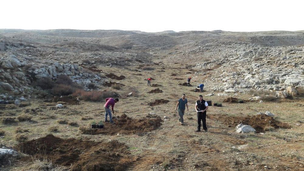 L’Initiative de reboisement du Liban (LRI) a lancé une série de programmes éducatifs et a constitué des groupes de jeunes réunissant Libanais et réfugiés syriens autour d'un objectif commun. (Fourni)