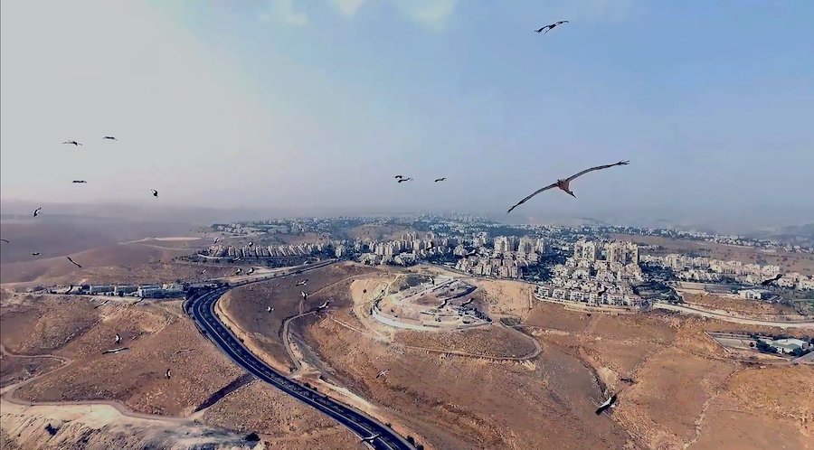 « As Birds Flying » (2016) est une réplique au récit des médias en Egypte qui a fait d'un oiseau un symbole de la paranoïa de l'Etat. (Photo fournie)