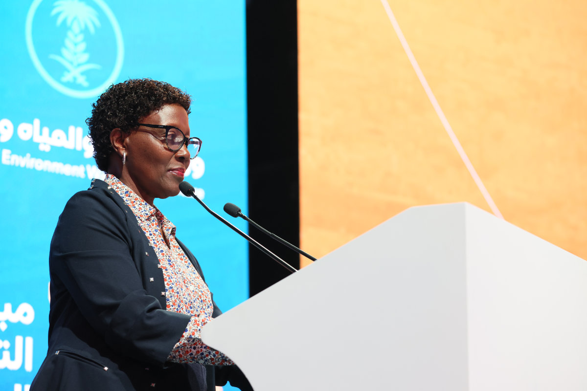 Elizabeth Mrema, directrice exécutive adjointe du Programme des Nations unies pour l'environnement. (Fourni)