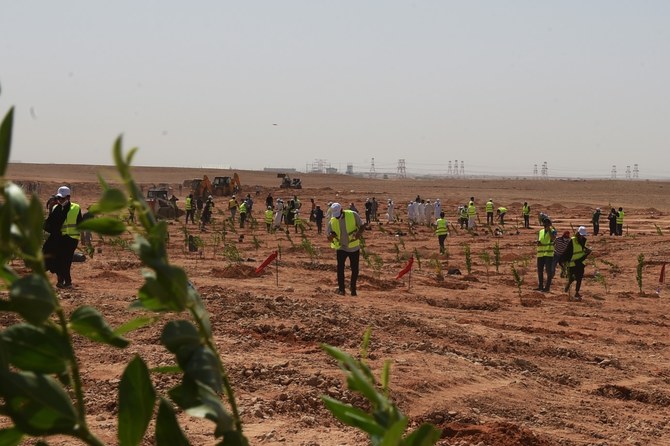 Le projet de verdissement de l’Arabie saoudite vise à planter 10 milliards d’arbres dans le cadre de l’initiative verte saoudienne. (Photo fournie)