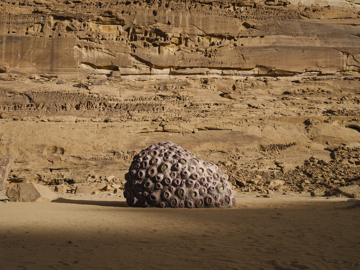 Shadia Alem, Desert X AlUla, 2022. (Photo fournie)
