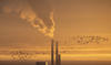 EDF, partenaire stratégique des pays du Moyen-Orient pour la décarbonisation de l’énergie