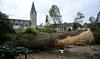Tempête en Allemagne: un mort et près de 60 blessés 