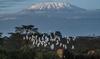 Tourisme: Le Kilimandjaro se met au haut débit pour attirer les amateurs d’alpinisme