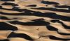 Dakar 2023: plus de dunes et de kilomètres pour la 45e édition