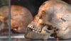 Une maison de vente aux enchères belge retire de la vente trois crânes africains et arabes 