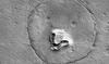 «Un ours sur Mars?» La Nasa publie une intrigante photo de la planète rouge