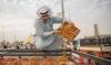Les exportations de dattes saoudiennes augmentent de 15,9% en 2024 pour atteindre 451 millions de dollars