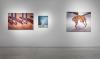 Une exposition sur les droits des animaux met en lumière des artistes arabes à Athènes