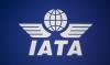 Aérien : le chef de l'IATA appelle l'UE à « réévaluer » ses objectifs de décarbonation