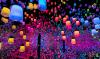 TeamLab Borderless Jeddah fête un an d'art numérique fascinant