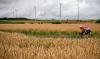 La France, 1er producteur européen de blé, importe toujours plus de farine