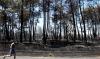 Incendies dans le Sud-Ouest: des dizaines de milliers d'évacués, renforts aériens attendus