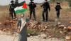 Les Arabes et les Israéliens doivent dépasser les problèmes du XXe siècle 