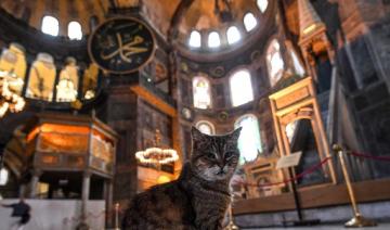 Turquie: Le musée Sainte Sophie sera-t-il transformé en mosquée? 