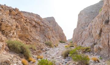 Réserve de Jebel Hafeet: Un environnement montagnard unique et riche en biodiversité aux EAU
