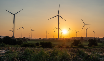 Un consortium émirati étudie la mise en œuvre d'un projet d’énergie éolienne en Égypte