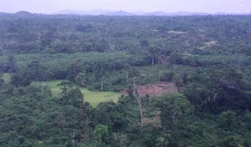 Côte d'Ivoire: des étudiants présentent des projets contre la déforestation 