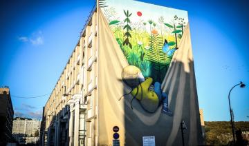 Versailles: le street art fait son apparition dans cette ville historique 