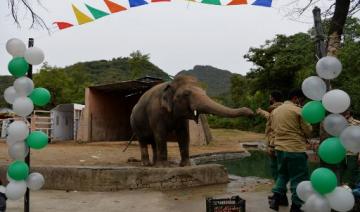 L'éléphant maltraité du Pakistan en partance pour le Cambodge