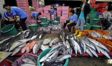 Thaïlande: plus de 1.000 personnes testées Covid+ sur le marché aux fruits de mer de Mahachai 