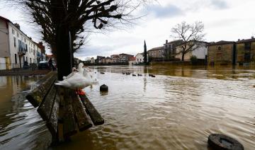 Grippe aviaire: 40 nouveaux foyers confirmés, principalement dans les Landes
