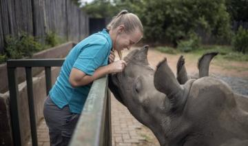 Afrique du Sud: requinquer les bébés rhinos 