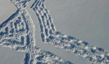 En Finlande, avalanche de succès pour une œuvre d'art géante tracée dans la neige