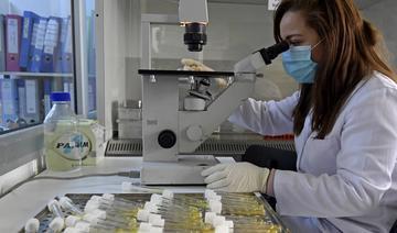 Tunisie: lancement du projet Intecmed 