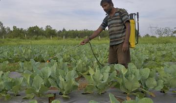 L'exposition aux pesticides augmente le risque de leucémie myéloïde aiguë