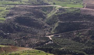Pays désertique, la Jordanie veut planter des forêts 