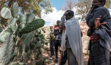 L'ONU veut une enquête sur de possibles « crimes de guerre » au Tigré, dans le nord de l'Ethiopie 